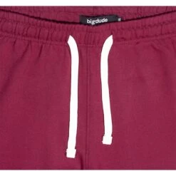 Bigdude Basic Joggers Burgundy -Kenn Clothing Shop img 2114 1
